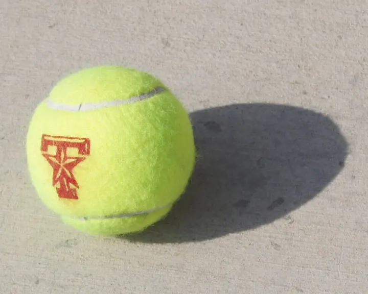 Bóng tennis nhai